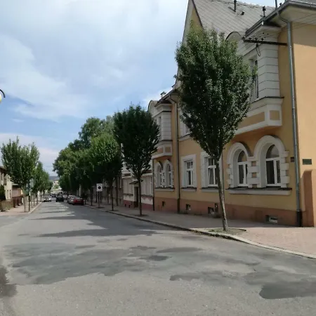 Apartman U Horynu - Sadova Ceska Trebova Exterior photo